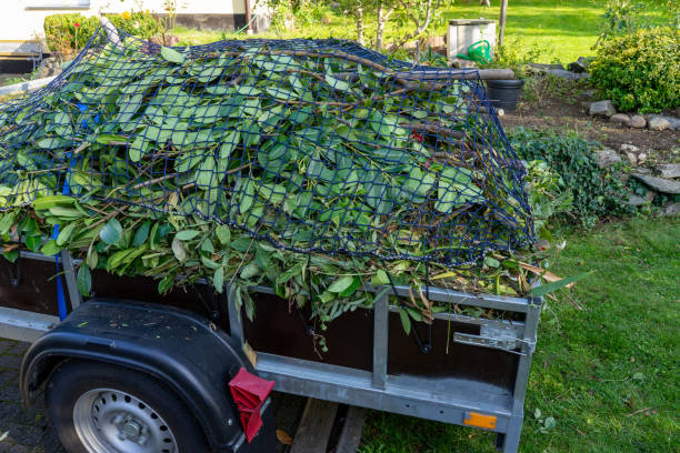 Best Furniture Removal  in Canby, MN